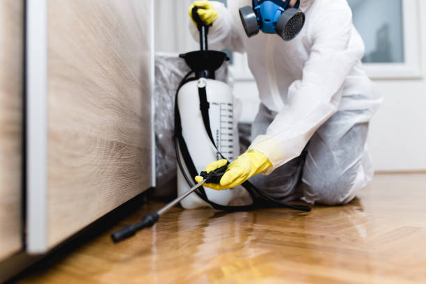 Best Emergency Pest Control  in Bard College, NY