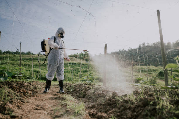 Best Best Pest Control Companies  in Bard College, NY
