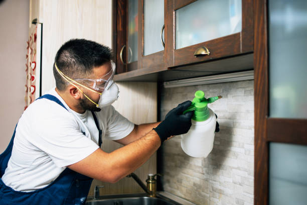 Best Commercial Pest Control Services  in Bard College, NY