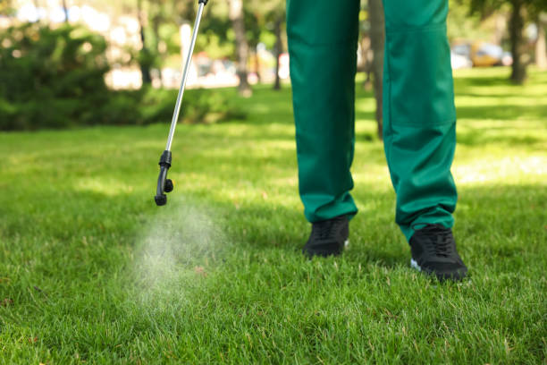 Best Flea Control Services  in Bard College, NY